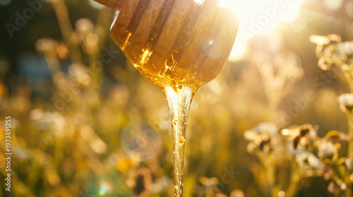 Honey Pouring from Hive.