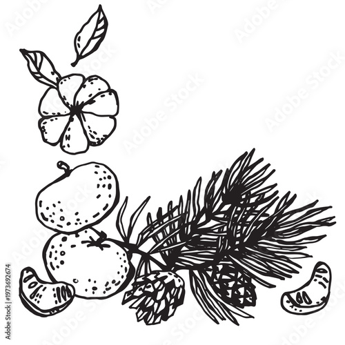 Pine branch with pine cones and mandarins