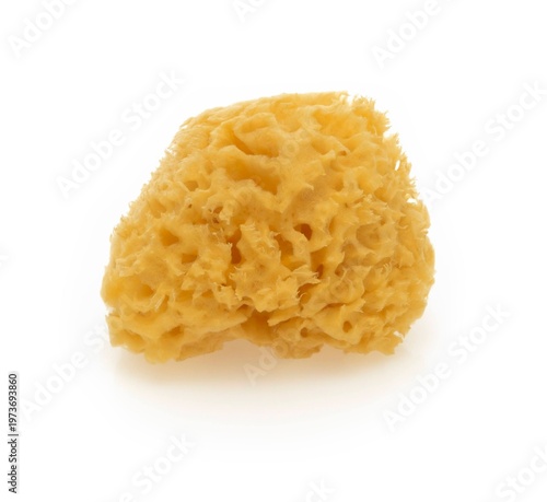 Natural yellow sea sponge isolated on white background. Organic bath sponge for body care, exfoliation, spa, and plastic-free lifestyle concepts.