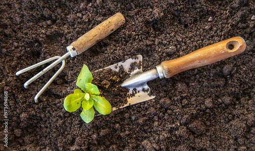 top view on planting shovel and  gardening claw lying on fresh dirt with  a s...