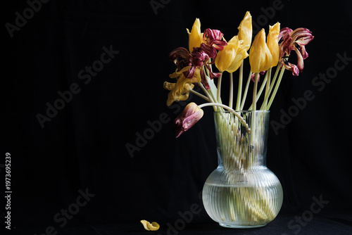 Bild auf Leinwand yellow wilting tulips in vase