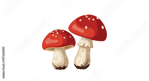 Pair of red fly agaric mushrooms with white spots stand side by side on a clean white background in a detailed illustration.
