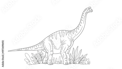 Coloring page illustration of large long necked dinosaur standing in prehistoric landscape for children educational book.