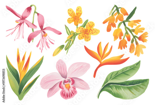 Exotic tropical flowers collection, orchid and heliconia watercolor elements isolated botanical set.