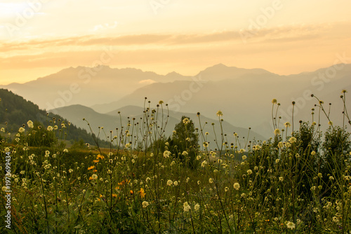 Majestic sunset in the mountains landscape
