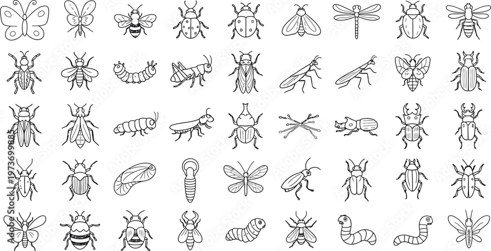 Obraz premium Detailed set of various insect line icons, bug and butterfly collection.