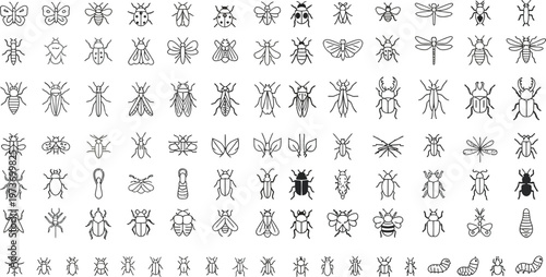 Large collection of insect line icons, various bugs and invertebrates set.