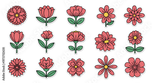 Colorful pink flowers close up macro aesthetic.