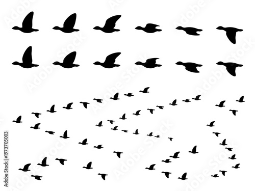 雁のはばたきと群れのイラスト素材セット