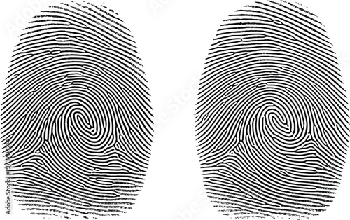 Fingerprint set with detailed ridge patterns isolated on white background, biometric identity concept illustration for security, forensic analysis, authentication, and personal identification systems