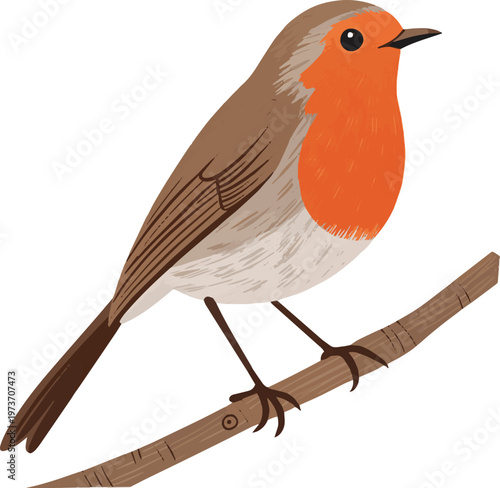 Cute robin bird sitting on branch flat vector illustration