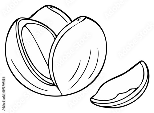 Pistachios Outline Illustration Nut Shell Half Kernel Close-Up Food Art