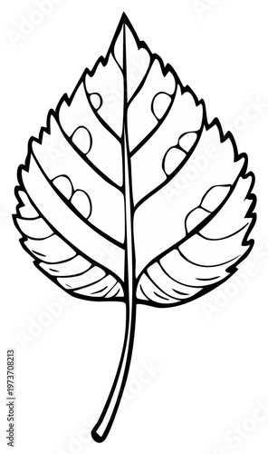 Doodle drawing of single serrated leaf with details representing illness or damage. Botanical illustration of affected leaf.