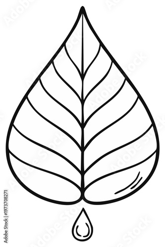 Minimalist leaf and water drop illustration depicts organic nature, purity and environmental awareness in black and white.