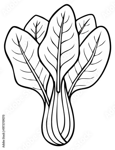 Black and white illustration of bok choy vegetable