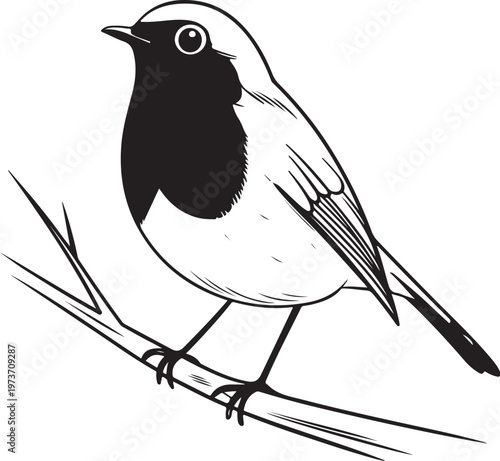 bird on a branch