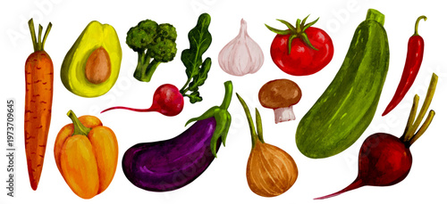 A collection of colorful ripe vegetables and root crops. Vector graphics.