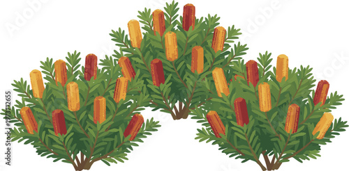 Generated on Set of Banksia spinulosa 'Cherry Candles' flowering shrubs isolated on transparent background, ornamental evergreen bushes with yellow-red flowers vector art on white background
