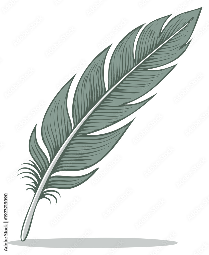 Fototapeta premium Elegant grey feather illustration graphic design element for writing concepts