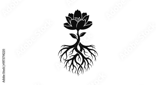 Black silhouette of a lotus flower.