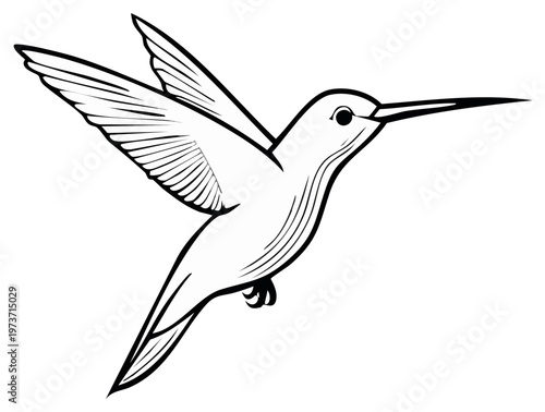 Flying Hummingbird black and white line art illustration. Simple vector graphic of a hovering colibri for a logo or tattoo.