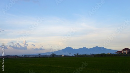 A vast expanse of green rice fields stretches out and mountains in the distance under a blue sky. This scene captures the harmony of rural agriculture and natural beauty, evoking a peaceful tropical c