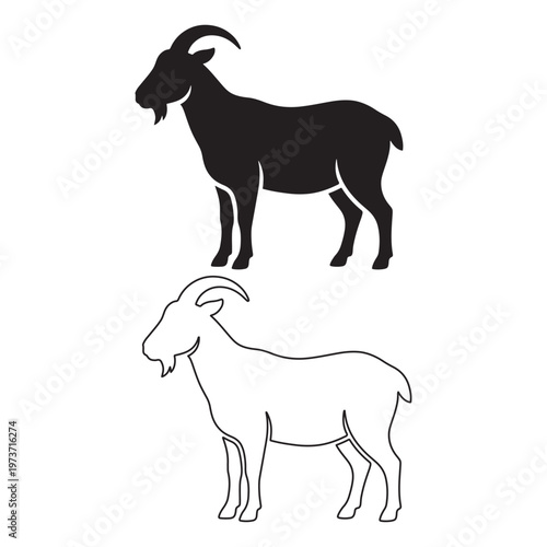 A black silhouette of a goat alongside a white outline drawing of the same animal on background. Vector, illustration