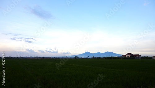 A vast expanse of green rice fields stretches out and mountains in the distance under a blue sky. This scene captures the harmony of rural agriculture and natural beauty, evoking a peaceful tropical c