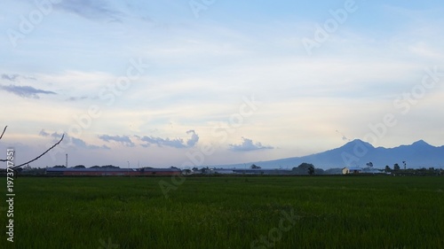 A vast expanse of green rice fields stretches out and mountains in the distance under a blue sky. This scene captures the harmony of rural agriculture and natural beauty, evoking a peaceful tropical c
