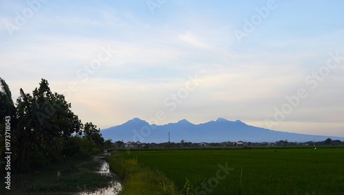 A vast expanse of green rice fields stretches out and mountains in the distance under a blue sky. This scene captures the harmony of rural agriculture and natural beauty, evoking a peaceful tropical c
