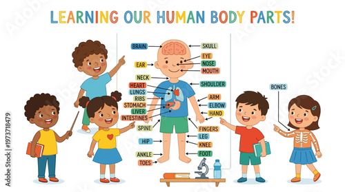 Children learning human body parts.