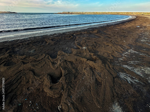 Seaweed and coastal sediment covering a beach at low tide.