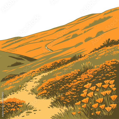 Vibrant orange poppies and wildflowers blooming on a hillside with a winding dirt path through a sunny meadow landscape
