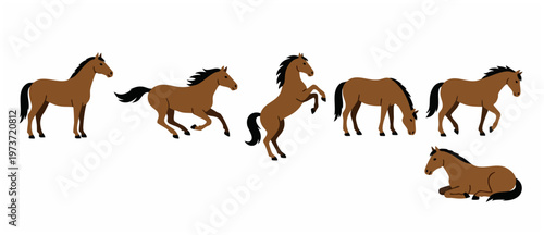 Horse character poses set, brown equine flat vector collection showing running, standing, rearing, grazing and lying down movement cycle isolated on white background for animation or design projects.