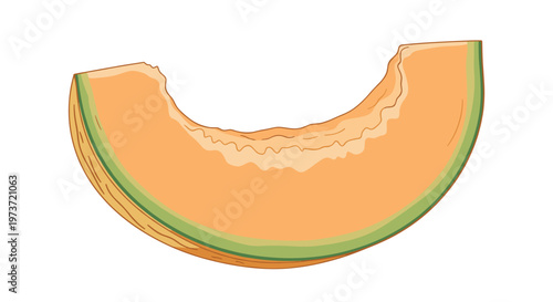 Single slice of cantaloupe melon with its distinctive orange flesh and green rind is depicted in a colorful illustration of a healthy fruit.