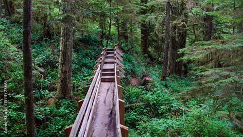 Foto Perspective view of a long wooden boardwalk trail through a lush temperate rainf