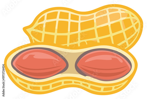 Stylized Peanut Illustration Depicting Shelled Seeds and Nutritious Snack for Healthy Eating