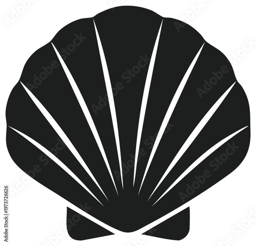 Elegant Seashell Silhouette Graphic Ocean Marine Life Motif