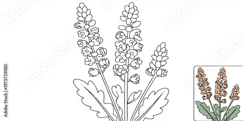 Bouquet of colorful flowers with grass and wheat ears isolated on a white background