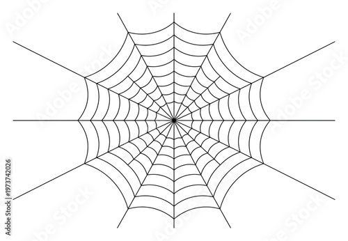 Intricate Black and White Spider Web Pattern