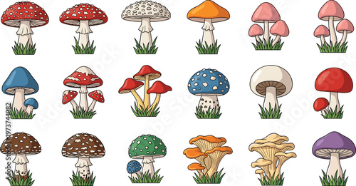 Mushroom illustration artwork, colorful fungi design, botanical diversity collection, stylized nature drawing set, whimsical forest profiles