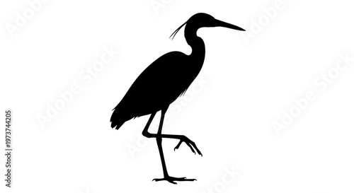 Black silhouette of a heron standing on one leg with long neck and beak on white background