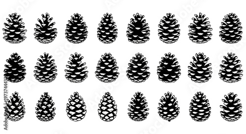 Cuadro en lienzo Multiple black pinecones arranged in rows on white background for decoration or