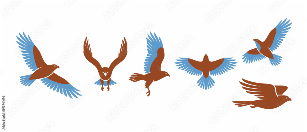 Obraz premium Eagle flying logo icon set, brown and blue flat bird silhouettes in various poses, majestic raptor hawk graphics for branding identity, power and freedom concept illustration isolated on white backgro