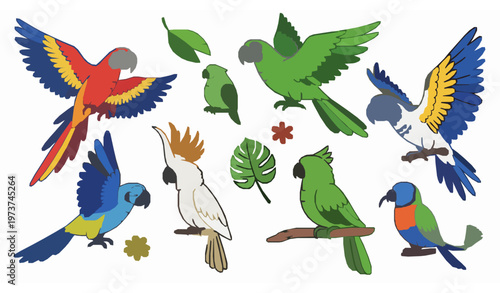Tropical cartoon parrot collection vector set with colorful feathers and wings for children and kids design