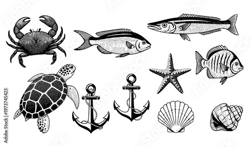 Retro halftone marine animal and nautical vector collection with crab starfish turtle and anchor isolated
