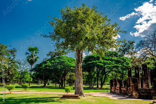 Foto The natural background of the historical tourist attractions in Sukhothai Historical Park, where travelers from all over Europe always come to admire its beauty