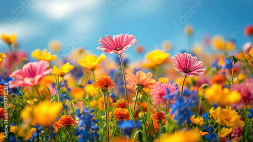 Dynamic time-lapse showcasing flowers in full bloom