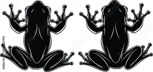 Cad drawing flat vector illustration of two frog silhouettes seen from above with high contrast details isolated on a white background.