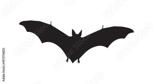 The majestic silhouette of a bat soaring through the night under the moonlight